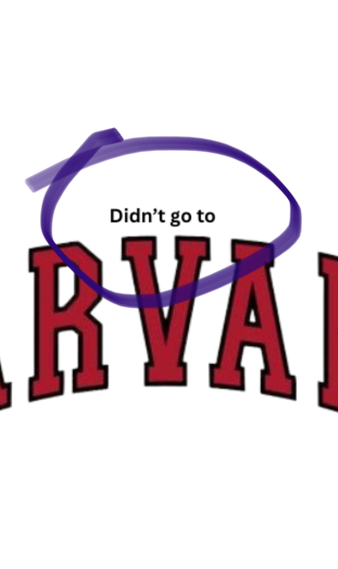 DIDN'T GO TO Harvard Funny Unisex Premium T-Shirt